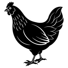 Feathered Delight Discover Stunning Hen Vector Illustrations