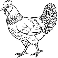 Feathered Delight Discover Stunning Hen Vector Illustrations