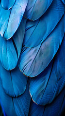 Background of soft and blurred chicken feathers in beautiful colors,Vector illustration