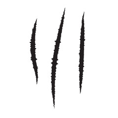 Bear paw claw marks, scratches of animal attack