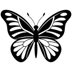 butterfly vector