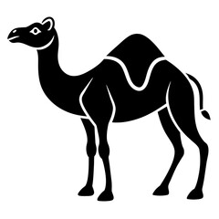 camel vector illustration art
