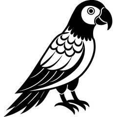 Parrot vector icon illustration art