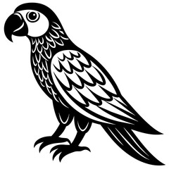 Parrot vector icon