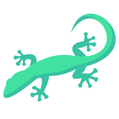 gecko flat vector icon