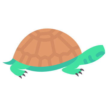 turtle flat vector icon