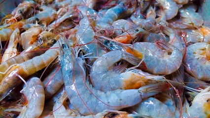 Fresh Sea Prawns Close-Up: Available for Sale at the Fish Market