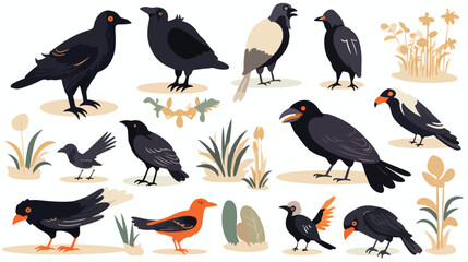 cute wild animals crow raven bat Safari jungle animal