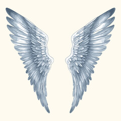 Watercolor Feather Painting Water Color