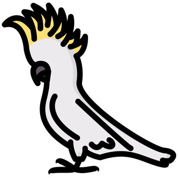 recommend clip art: cockatoo filled outline vector icon