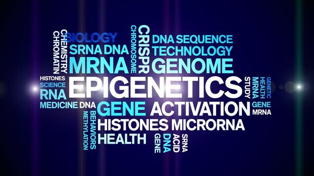Epigenetics animated word cloud;text design animation tag kinetic typography seamless loop.