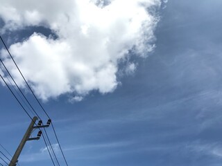 A bright blue summer sky with soft white clouds stands out and an electric pole in the left corner of the frame, the city concept