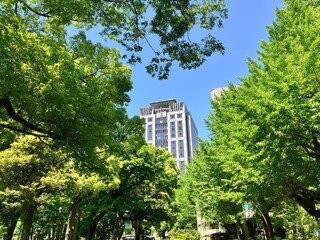 新緑が美しい日比谷公園から眺める東京の高層ビル