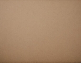 Fototapeta premium cardboard paper texture background