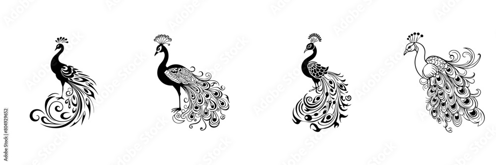 Wall mural Black and white silhouettes of the peacock - Wall murals