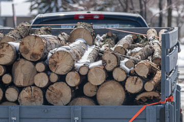Pile of tree trunks and branches for firewood on pickup bed