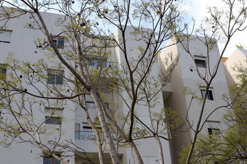 Buildings and structures in Tel Aviv against the background of branches and leaves of tall trees.