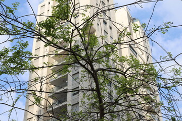 Buildings and structures in Tel Aviv against the background of branches and leaves of tall trees.