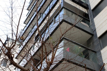 Obraz premium Buildings and structures in Tel Aviv against the background of branches and leaves of tall trees.
