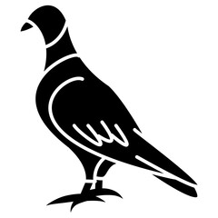 pigeon glyph vector icon
