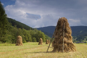 stóg siana © Andrzej