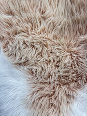 Close up of beige animal fur texture with natural swirl patterns, detailed macro photography for design and print.