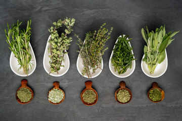 Five different fresh organic herbs in porcelain bowls and dried herbs in wooden bowls stand on a...