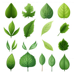 Fototapeta premium green leaf icons set on white background vector