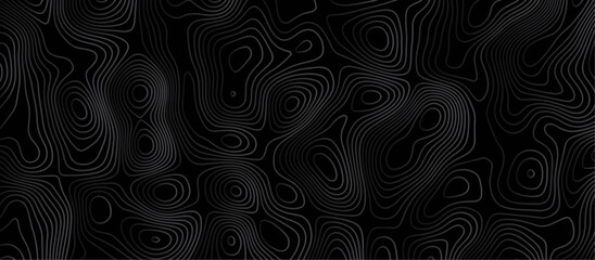 Abstract black background paper cut style with white wave curve line Luxury concept. Panorama view topography map contour background. Vector illustration. Line topography map contour background.