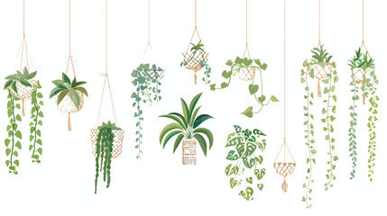 Frame with houseplant hanging in macrame Vector style