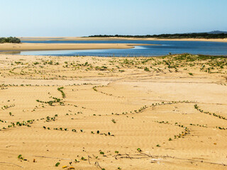 View over a small secluded bay, in the Inhaca Barrier Island System, of the coast of Mozambique,...