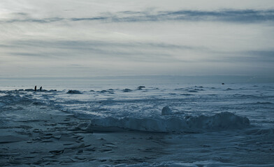 Cold sea