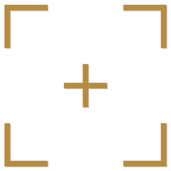 Gold Camera Focus Icon Isolated on White