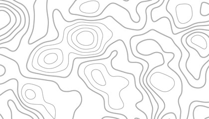 abstract pattern with lines. background of the topographic map. elevation contouring outline cartography texture. geographic abstract grid. futuristic wireframe landscape background.