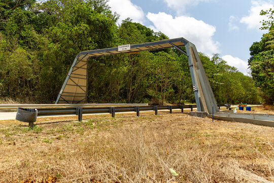 red crab bridge side on