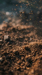 Closeup of brown soil and dirt as a symbol for agriculture and gardening