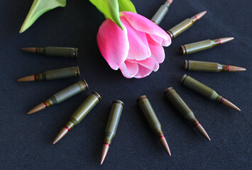 Conceptual photo on the theme of mourning and honoring the memory of war victims. Tulip and bullets...