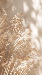 Dried Botanical Filtered Soft Light Dreamy Backdrop Background | Leaves Floral | White Beige Neutral Tones | Vertical alignment for mobile