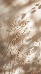 Dried Botanical Filtered Soft Light Dreamy Backdrop Background | Leaves Floral | White Beige Neutral Tones | Vertical alignment for mobile