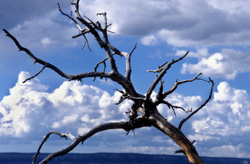 Grand canyon im Sturm