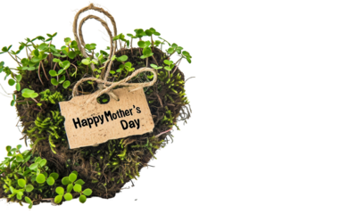 Mother's Day Love Heart Shaped Plant with Tag Isolated on Transparent Background PNG.
