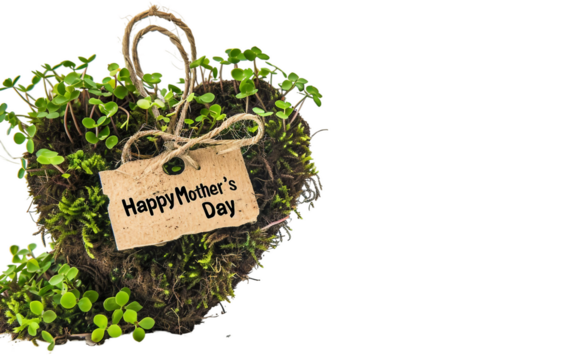 Mother's Day Love Heart Shaped Plant with Tag Isolated on Transparent Background PNG.