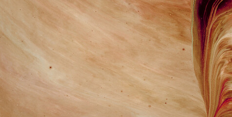 Enchanting and Playful Rainbow Splash on a Cute and Colorful Abstract Background
