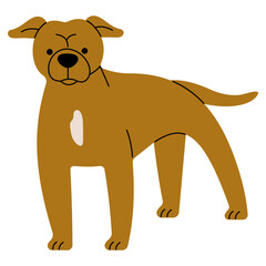 Pitbull cute on a white background, vector illustration.