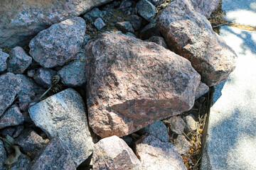 Monrepos Park, recreation in the park, promenade by the lake, natural landscape, tourist recreation in the reserve.