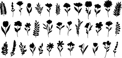 Plant vector silhouettes, hand drawn flower and leaf elements, isolated clip art set