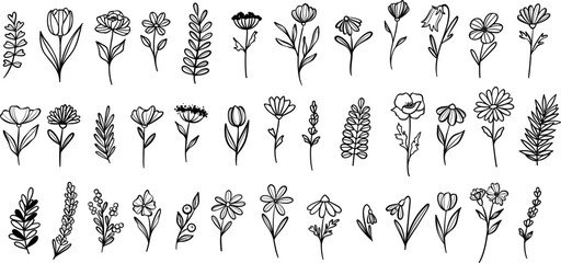 Flower and leaves, plant illustration set, vector clip art elements, isolated