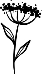 Tiny wild carrot plant vector doodle, flower illustration, line art decoration, isolated