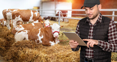 Man modern farmer working on his digital tablet in livestock farm.