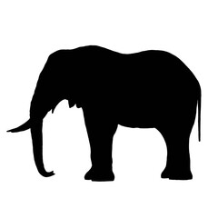 Black Elephant | Elephant Drawing | Elephant Illustration